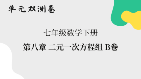 【数学】七年级下册单元双测卷：第八章二元一次方程组B卷解析